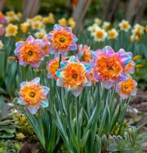 Нарцисс Айвери Дон купить по цене от 3000р. в интернет-магазине «Посадика» с доставкой почтой в в Раменскоее и по всей России – [изображение №1].