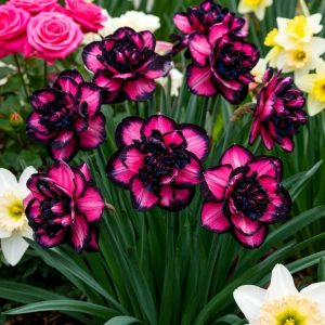 Нарцисс Золотая Корона купить по цене от 2000р. в интернет-магазине «Посадика» с доставкой почтой в в Раменскоее и по всей России – [изображение №1].